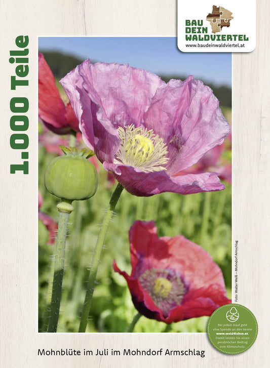 Puzzle Mohnblüte in Armschlag 1.000 Teile