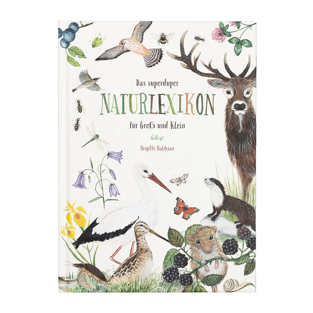 Bilderbuch Naturlexikon