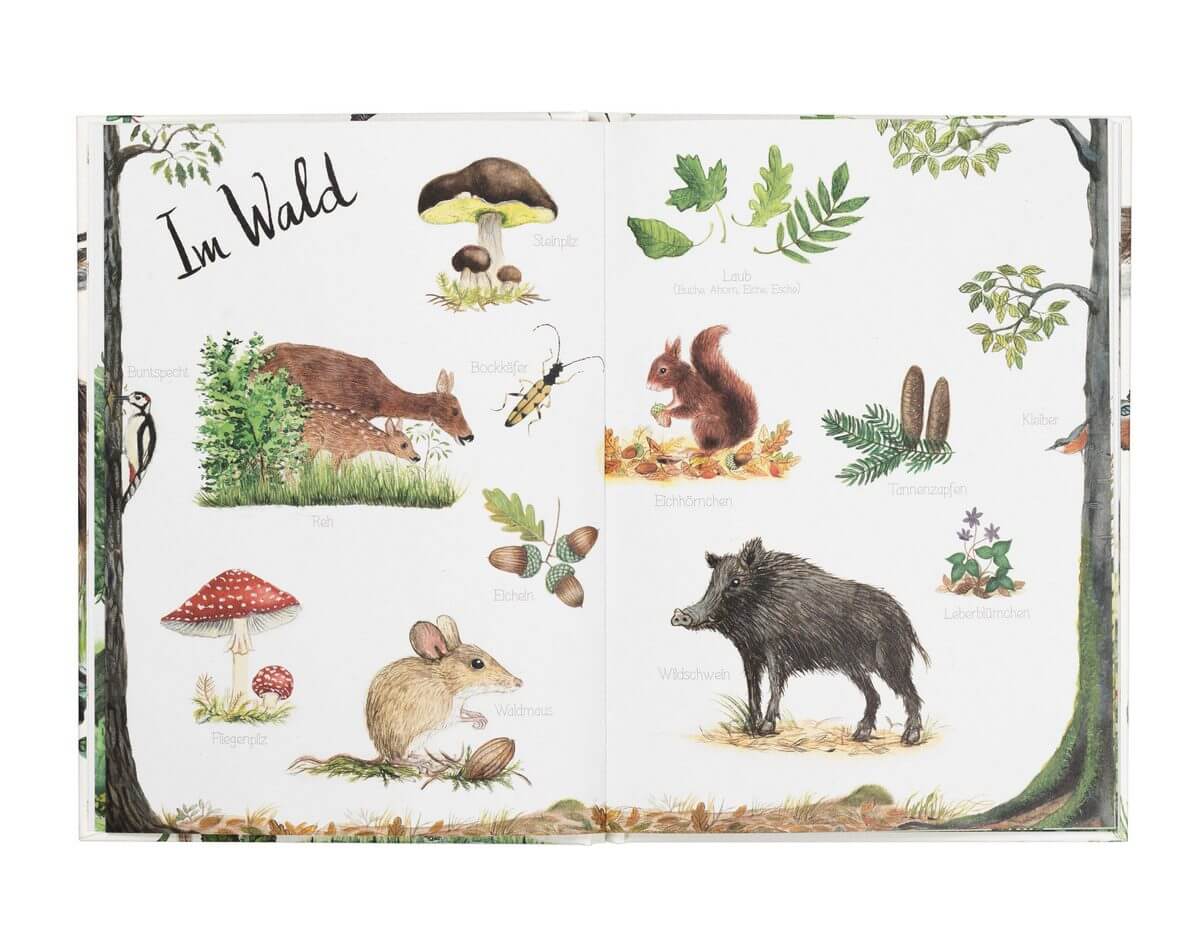 Bilderbuch Naturlexikon