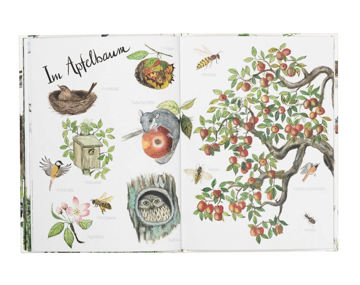 Bilderbuch Naturlexikon